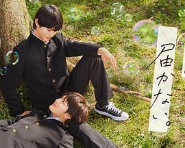 seo服务怎么那么贵